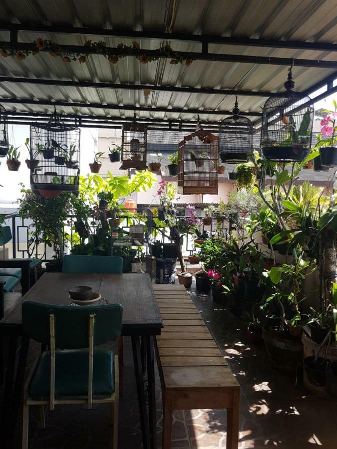 Wanderlust Homestay Джокьякарта Экстерьер фото